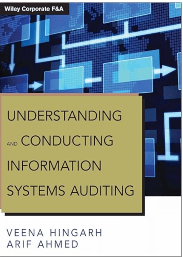 IS Audit Willey